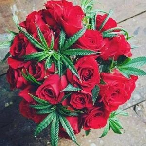 Meet your Posher, Ruth